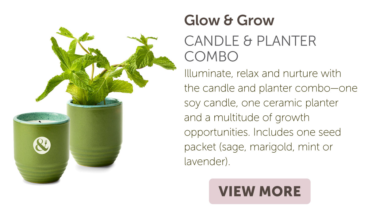 Candle & Planter Combo