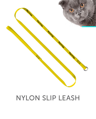 Nylon Slip Leash