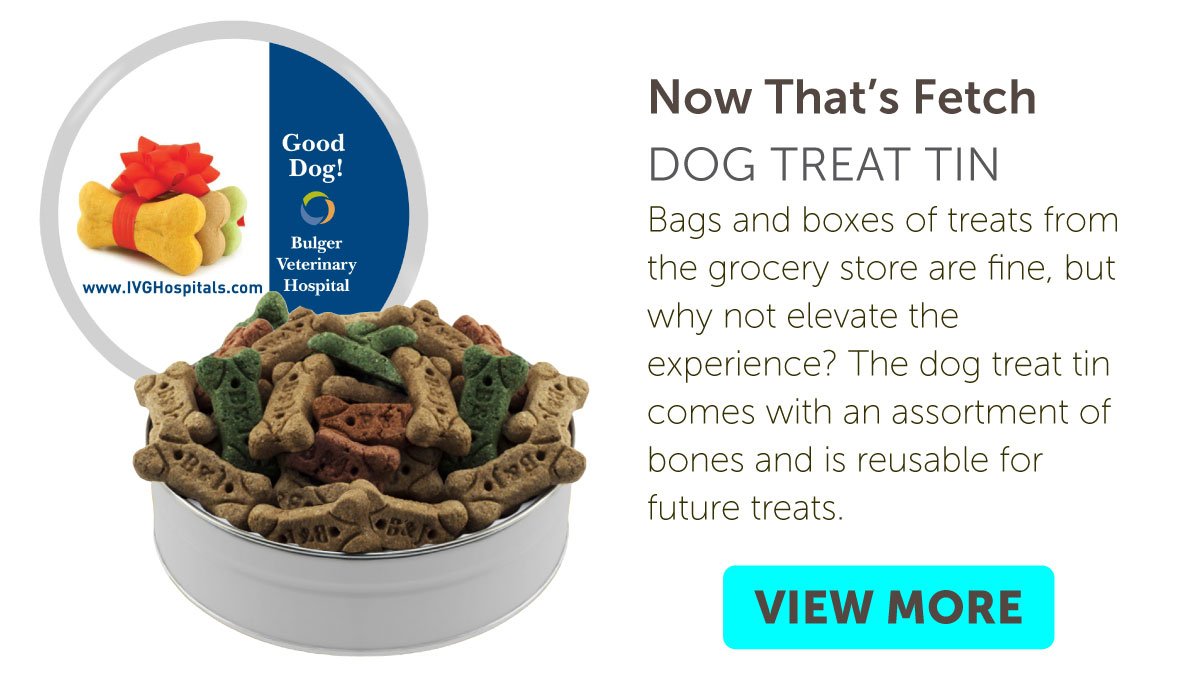 Dog Treat Tin