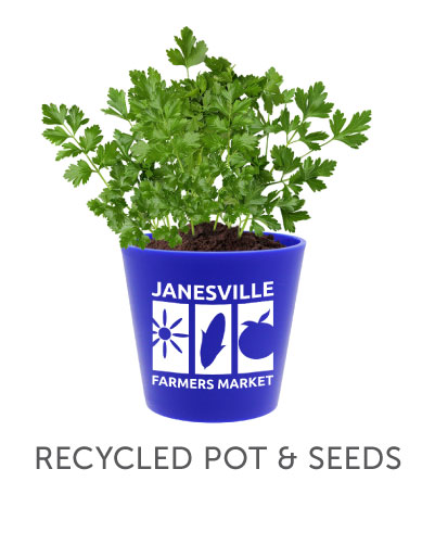 Recycled Pot & Seeds